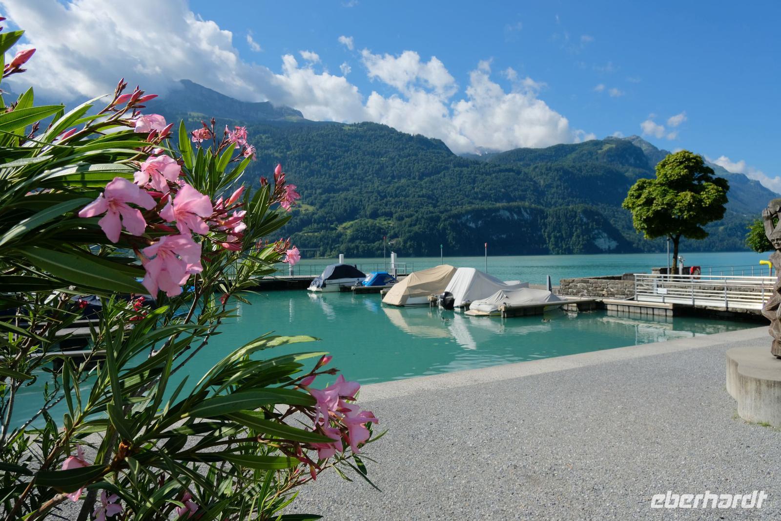 Still ruht der See