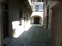 Tirano