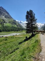 Val Roseg 