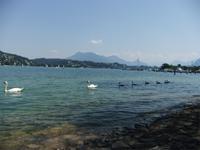 Viewaldstädter See