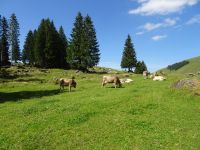 Wanderung Schwägalp 