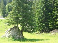 Wanderung auf der Schwägalp