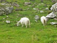 Wanderung auf der Schwägalp