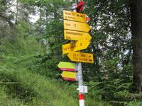 Wanderung in Flims
