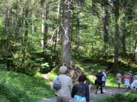 Wanderung in Flims