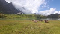 Wanderung um den Trübsee