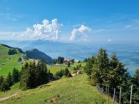 Wanderung von Rigi-Kulm nach Rigi-Staffel...