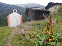 Wanderung von Zmutt nach Blatten (Blatten)