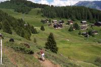 Wanderung zur Riederalp