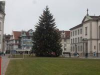 Weihnachtsbaum im Klosterhof, St. Gallen