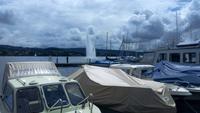 Zürich, Statführung mit Tatiana
