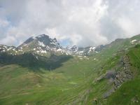 auf dem First