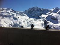 auf dem Gornergrat