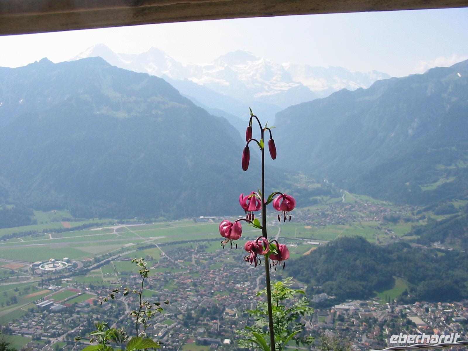 auf dem Harder Kulm