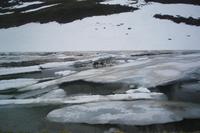 auf dem Oberalppass