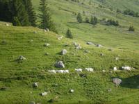 auf der Schwägalp