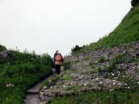 im Alpengarten