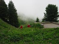 im Alpengarten