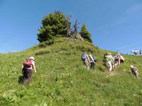 im Alpengarten