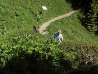 im Alpengarten