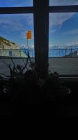 im Kulmhotel...