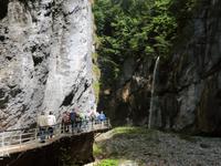 in der Aareschlucht