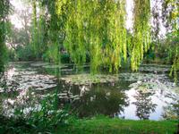 Giverny - Claude Monet Gärten
