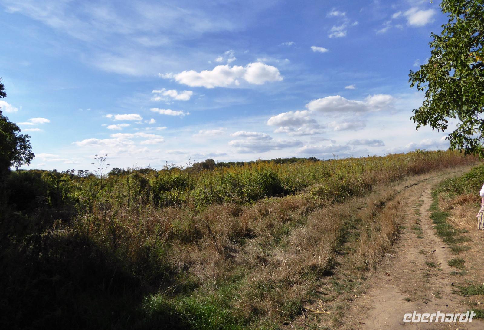 Auvers-sur-Oise, Feldweg