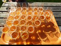 Cidre-Verkostung auf einem Gut in der Nähe von Deauville