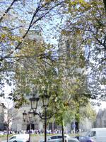 Paris, Nôtre-Dame hinter Bäumen