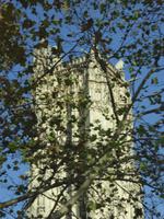 Paris, la Tour St. Jacques hinter Laub
