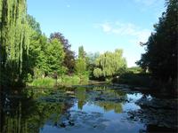 Seerosenteich von Monet