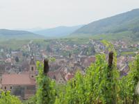 Riquewihr