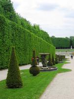 Im Garten von Versailles