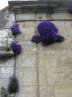 Am Anleger in Vernon