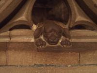 versteckte Kostbarkeit: Hundedarstellung an der spätgotischen Kanzel