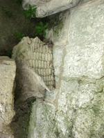 Gebäudeschmuck Jumièges