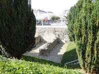 7Reims Forum