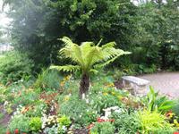 Einblick in einen Garten