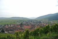 Riquewihr