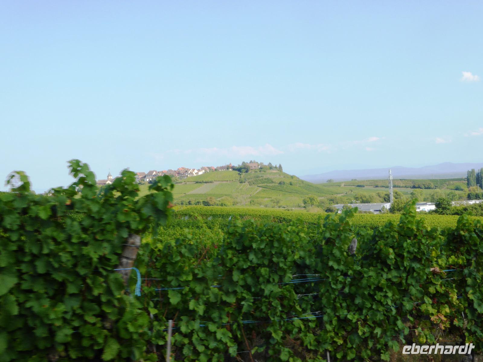 87Riquewihr7
