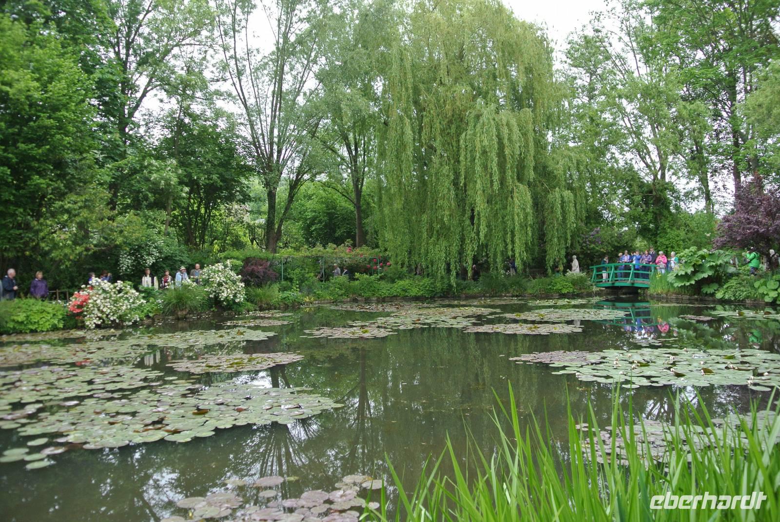 Seerosenteich im Garten von Monet