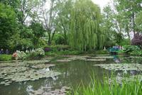 Seerosenteich im Garten von Monet