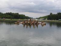 Apollonbecken