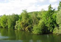 Auf der Seine