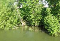 Blick an das Ufer
