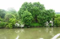 Das Seine-Ufer