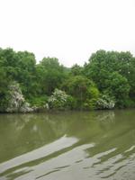 Das Seine-Ufer