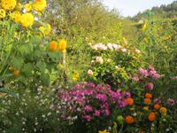 Giverny