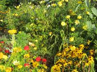 Giverny